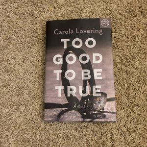 Too Good Too Be True by Carola Lovering